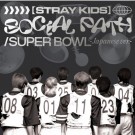 Stray Kids - Social Path - Japan 1st EP Album (feat. LiSA) Regular Ver. thumbnail